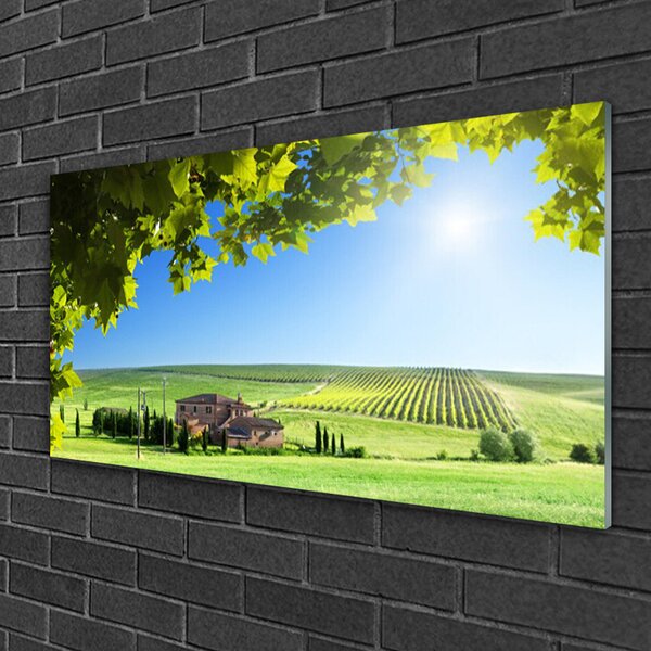 Skleneny obraz Pole listy krajina 100x50 cm 2 Prívesky