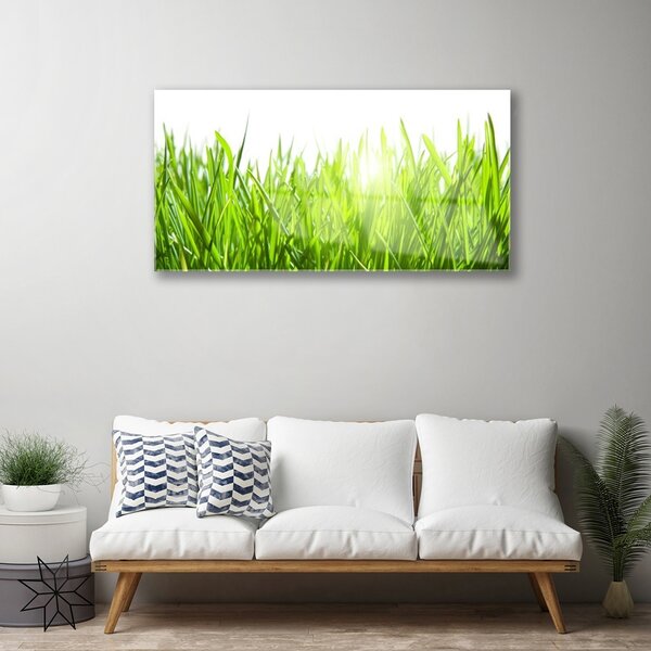 Skleneny obraz Tráva rastlina príroda 100x50 cm 2 Prívesky
