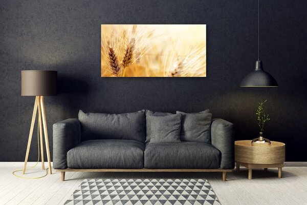 Skleneny obraz Pšenica rastlina príroda 100x50 cm 2 Prívesky