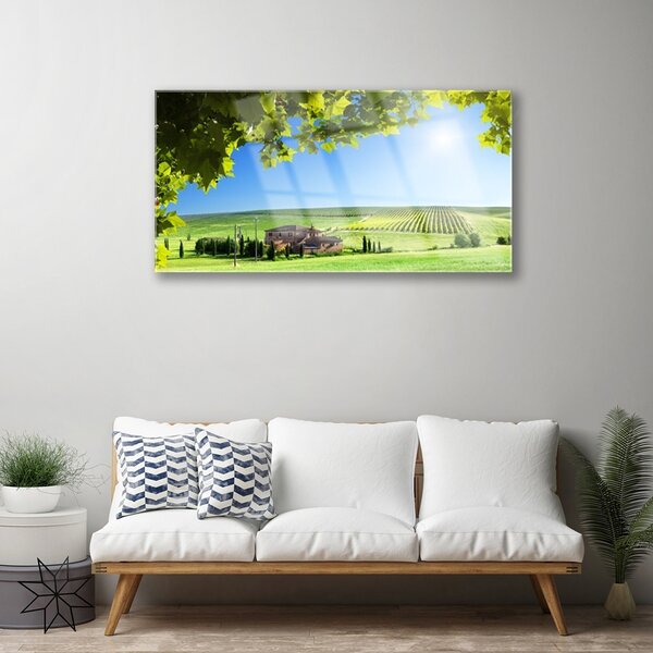Skleneny obraz Pole listy krajina 100x50 cm 2 Prívesky