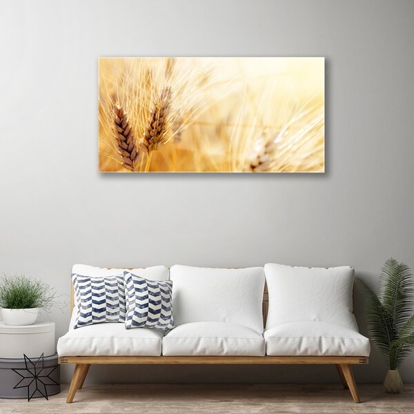 Skleneny obraz Pšenica rastlina príroda 100x50 cm 2 Prívesky