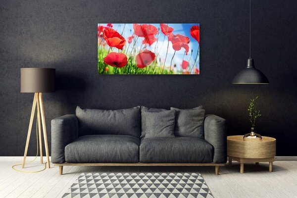 Skleneny obraz Maky rastlina príroda 100x50 cm 2 Prívesky