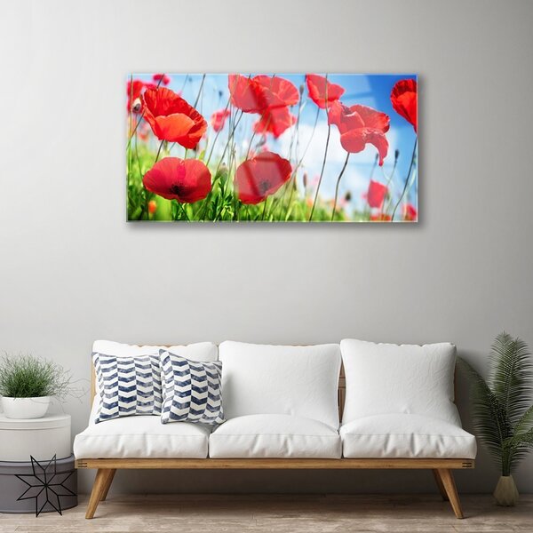 Skleneny obraz Maky rastlina príroda 100x50 cm 2 Prívesky