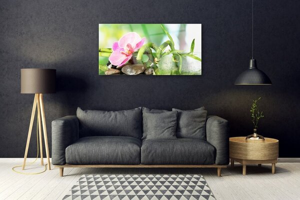 Skleneny obraz Bambus stonka rastlina príroda 100x50 cm 2 Prívesky