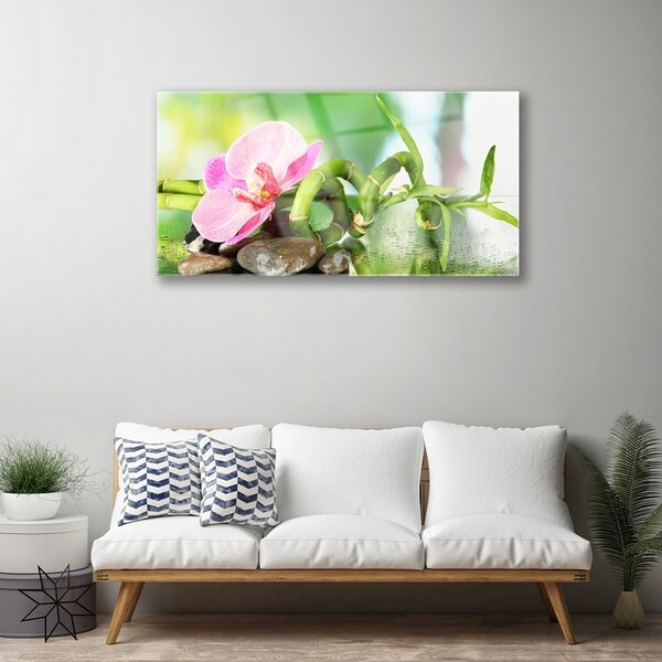 Skleneny obraz Bambus stonka rastlina príroda 100x50 cm 2 Prívesky