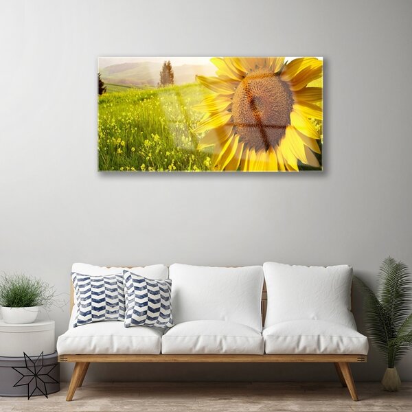 Skleneny obraz Slnečnica kvet rastlina 100x50 cm 2 Prívesky