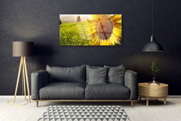 Skleneny obraz Slnečnica kvet rastlina 100x50 cm 2 Prívesky