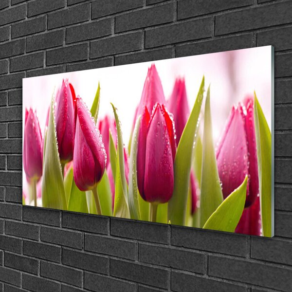 Skleneny obraz Tulipány kvety rastlina 100x50 cm 2 Prívesky