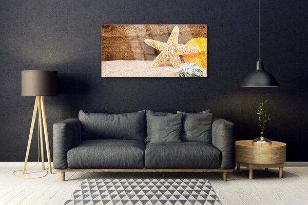 Skleneny obraz Piesok hviezdica umenie 100x50 cm 2 Prívesky