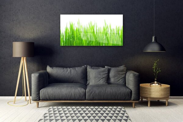 Skleneny obraz Tráva rastlina príroda 100x50 cm 2 Prívesky