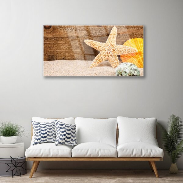 Skleneny obraz Piesok hviezdica umenie 100x50 cm 2 Prívesky