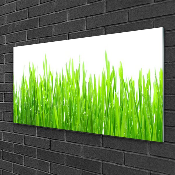 Skleneny obraz Tráva rastlina príroda 100x50 cm 2 Prívesky