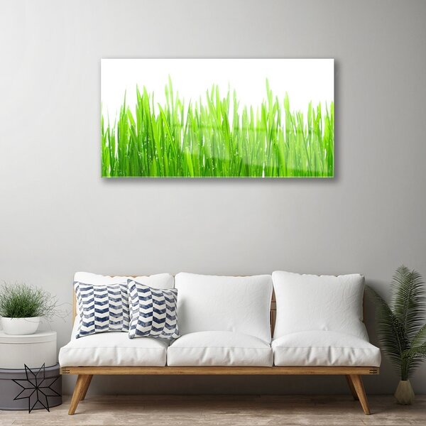 Skleneny obraz Tráva rastlina príroda 100x50 cm 2 Prívesky