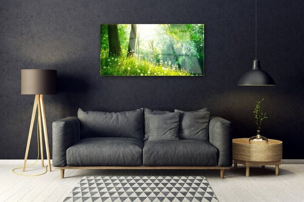 Skleneny obraz Lúka príroda rastlina 100x50 cm 2 Prívesky