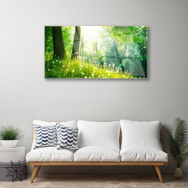Skleneny obraz Lúka príroda rastlina 100x50 cm 2 Prívesky