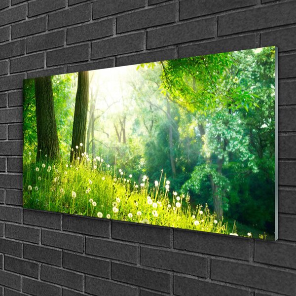 Skleneny obraz Lúka príroda rastlina 100x50 cm 2 Prívesky