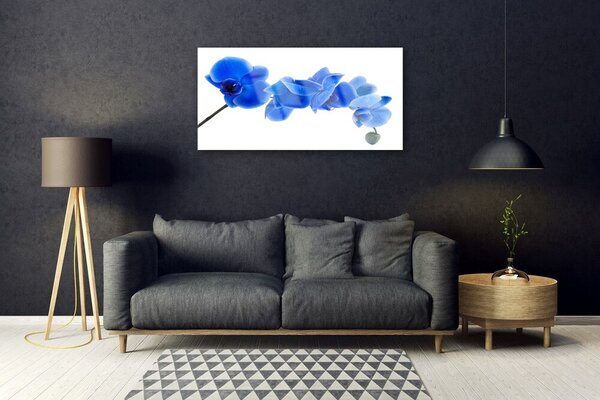 Skleneny obraz Kvet rastlina príroda 100x50 cm 2 Prívesky