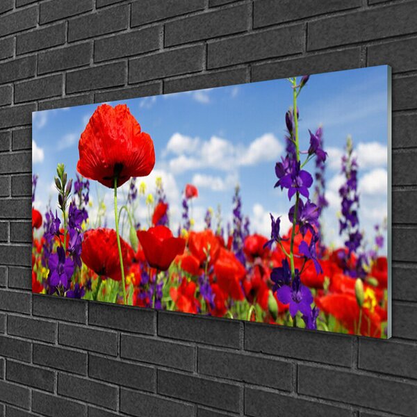 Skleneny obraz Kvety rastlina príroda 100x50 cm 2 Prívesky