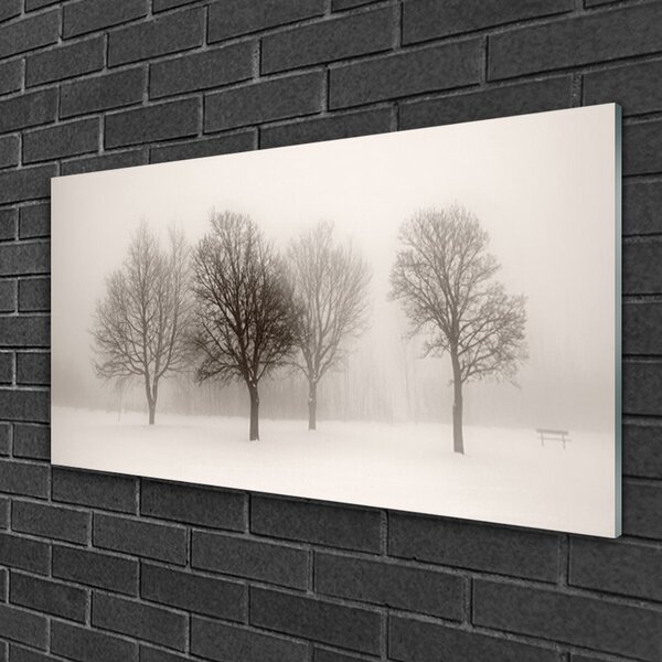 Skleneny obraz Sneh stromy príroda 100x50 cm 2 Prívesky