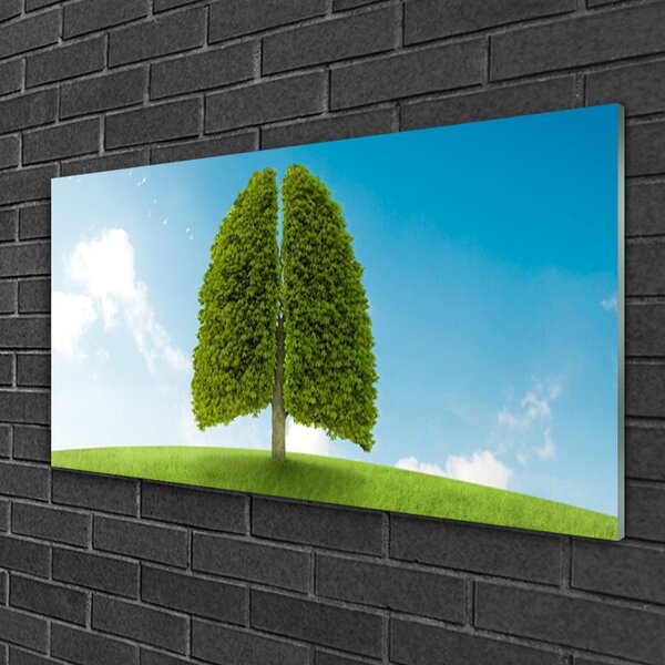 Skleneny obraz Tráva strom pľúca príroda 100x50 cm 2 Prívesky