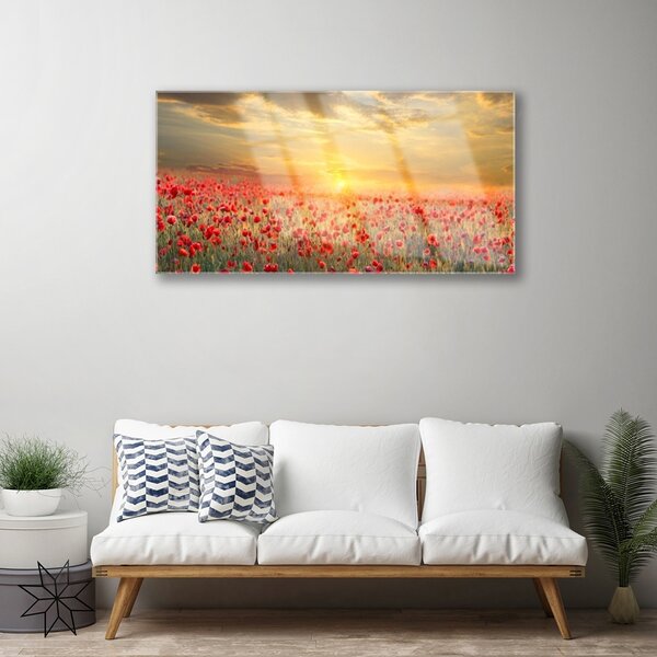 Skleneny obraz Slnko lúka mak kvety 100x50 cm 2 Prívesky