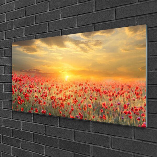 Skleneny obraz Slnko lúka mak kvety 100x50 cm 2 Prívesky