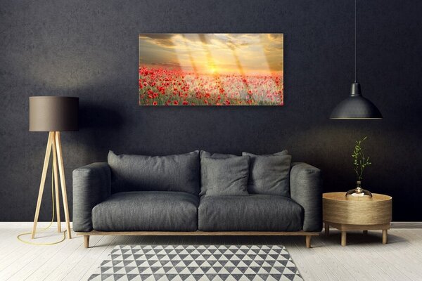 Skleneny obraz Slnko lúka mak kvety 100x50 cm 2 Prívesky