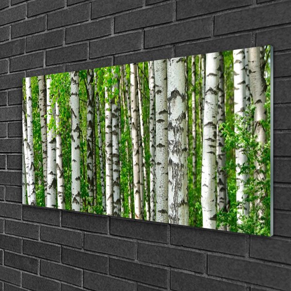 Skleneny obraz Les rastlina príroda 100x50 cm 2 Prívesky