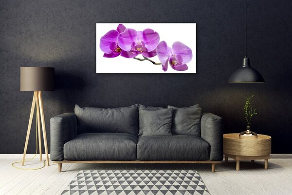 Skleneny obraz Kvety rastlina príroda 100x50 cm 2 Prívesky