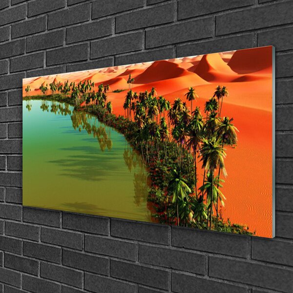 Skleneny obraz Jazero púšť palmy 100x50 cm 2 Prívesky