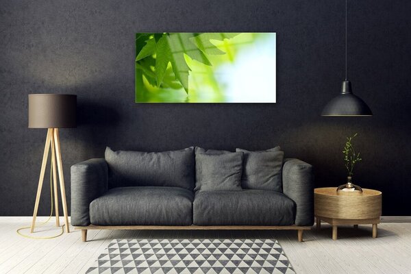 Obraz na skle Listy príroda rastlina 100x50 cm 2 Prívesky