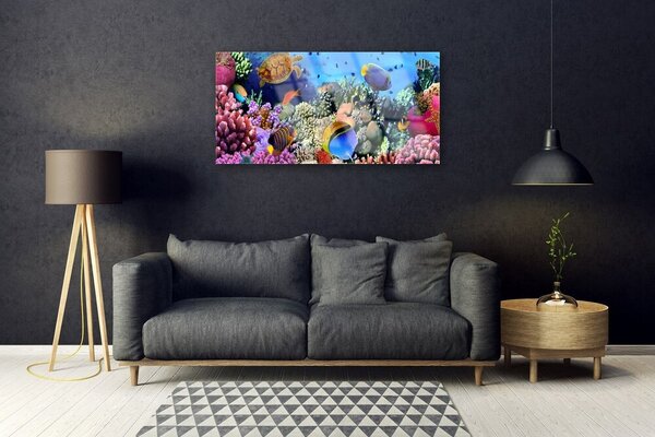 Obraz na skle Koralový útes príroda 100x50 cm 2 Prívesky