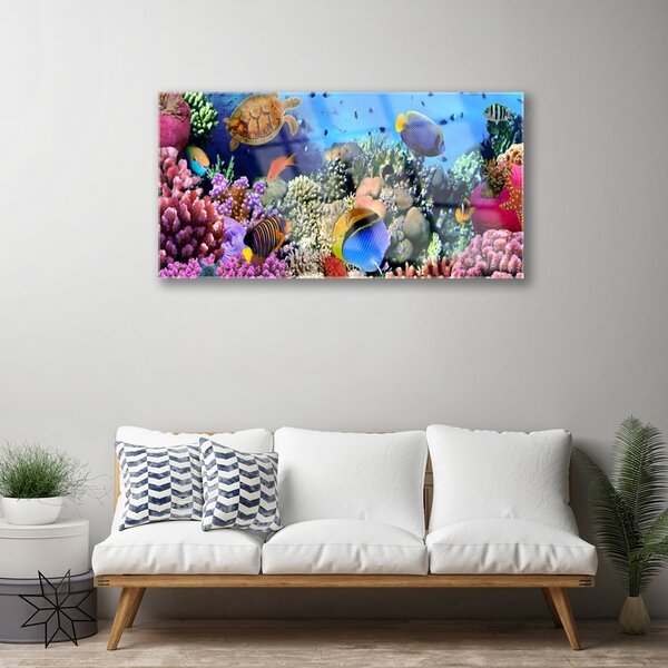 Obraz na skle Koralový útes príroda 100x50 cm 2 Prívesky