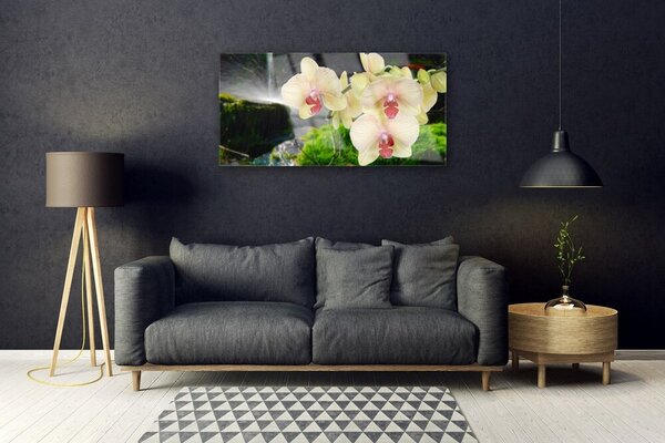 Obraz na skle Stromy príroda rastlina 100x50 cm 2 Prívesky