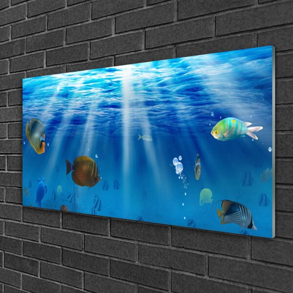 Obraz na skle Ryba príroda 100x50 cm 2 Prívesky