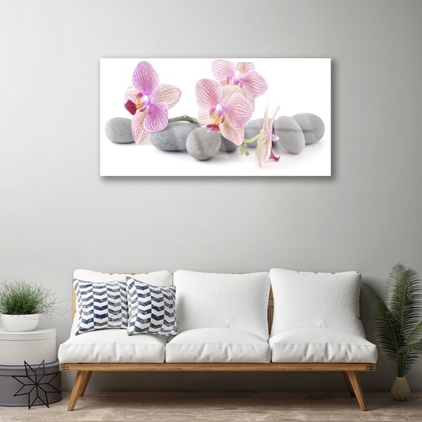 Obraz na skle Strom kamene rastlina 100x50 cm 2 Prívesky