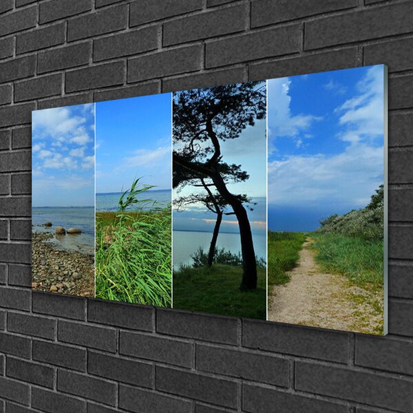 Obraz na skle Pláž strom príroda 100x50 cm 2 Prívesky