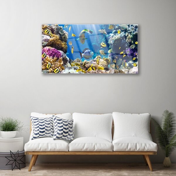Obraz na skle Koralový útes príroda 100x50 cm 2 Prívesky