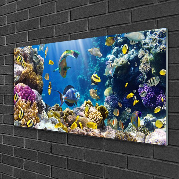 Obraz na skle Koralový útes príroda 100x50 cm 2 Prívesky