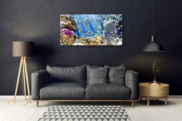 Obraz na skle Koralový útes príroda 100x50 cm 2 Prívesky