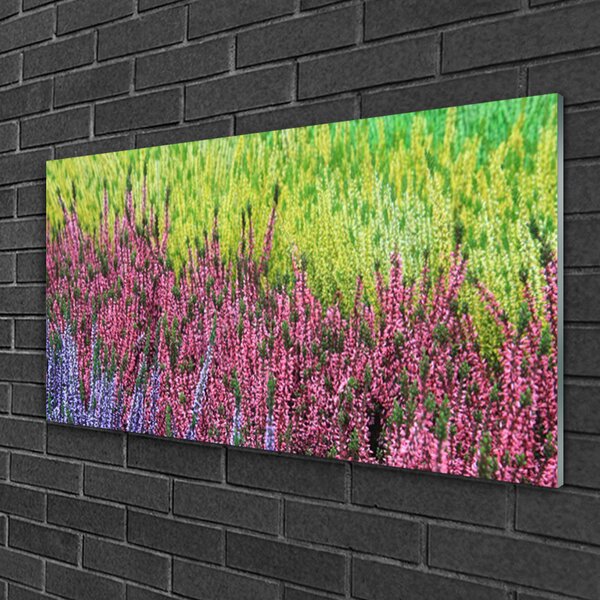 Obraz na skle Kvet rastlina príroda 100x50 cm 2 Prívesky