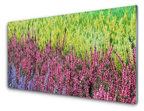 Nástenný panel  Kvet rastlina príroda 120x60 cm