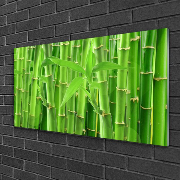 Obraz na skle Bambus stonka kvet rastlina 100x50 cm 2 Prívesky