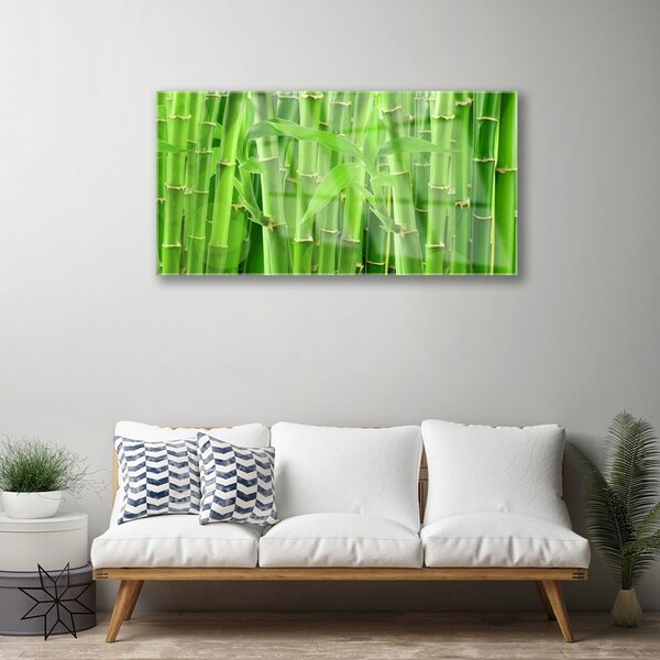 Obraz na skle Bambus stonka kvet rastlina 100x50 cm 2 Prívesky