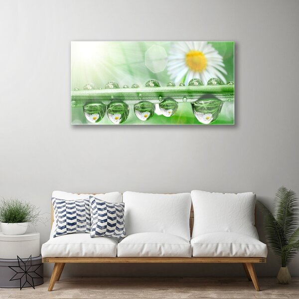Obraz na skle Rosa list sedmokrásky príroda 100x50 cm 2 Prívesky