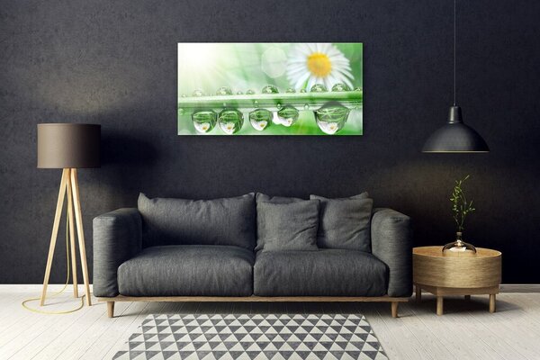 Obraz na skle Rosa list sedmokrásky príroda 100x50 cm 2 Prívesky
