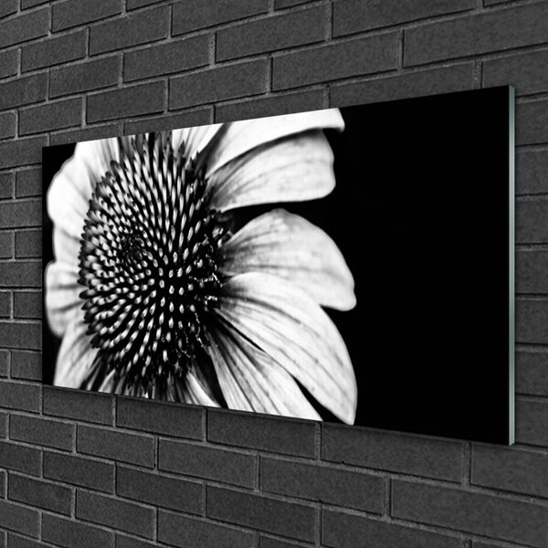 Obraz na skle Kvet rastlina príroda 100x50 cm 2 Prívesky