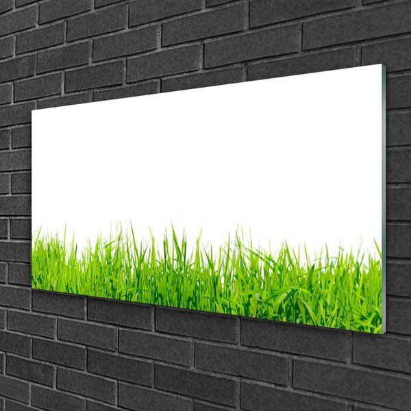 Obraz na skle Tráva príroda rastlina 100x50 cm 2 Prívesky