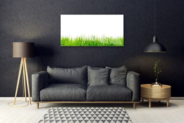 Obraz na skle Tráva príroda rastlina 100x50 cm 2 Prívesky