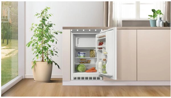 Gorenje RBIU48E21 - Chladnička jednodverová zabudovateľná